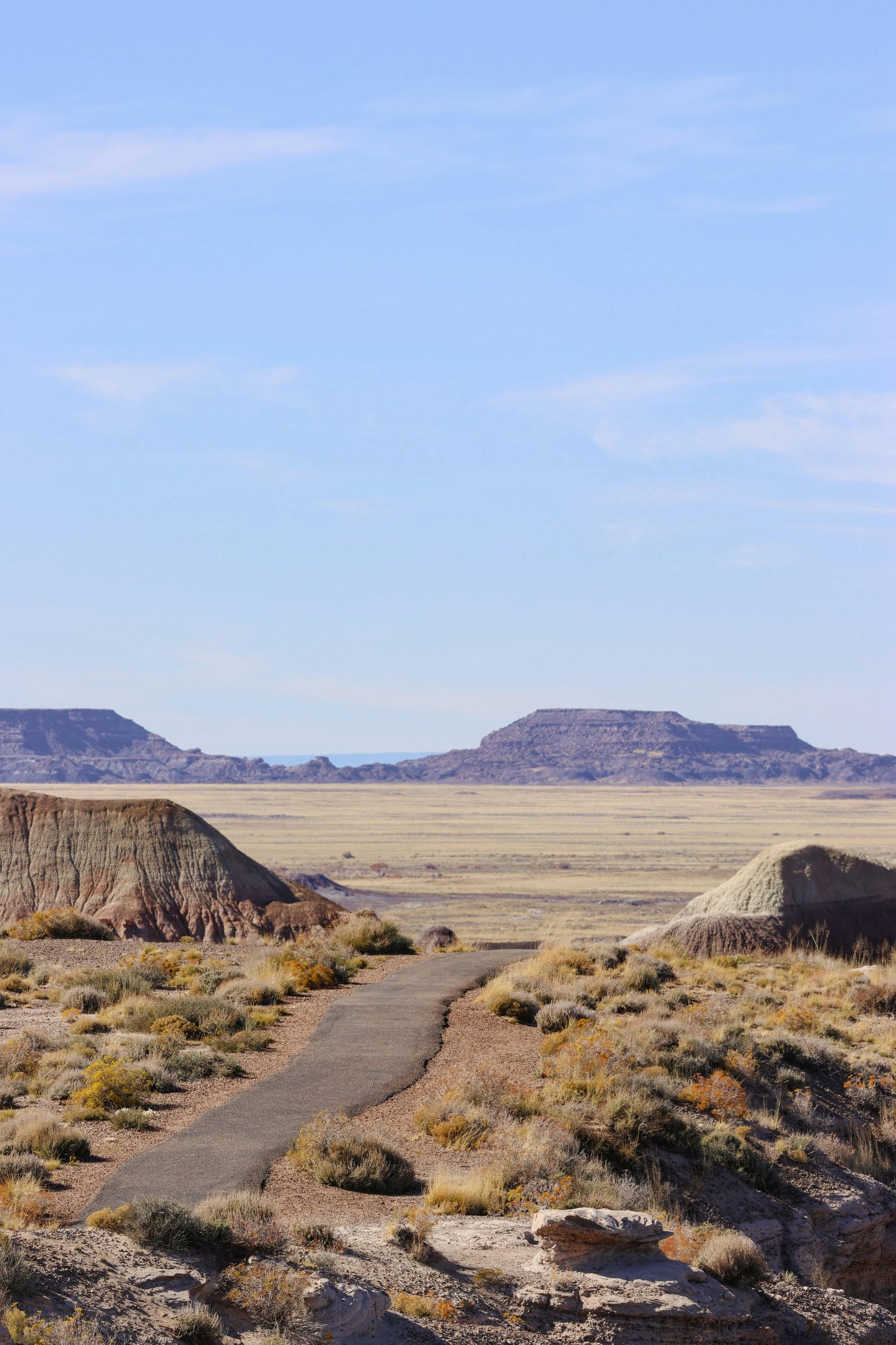 Arizona desert landscape